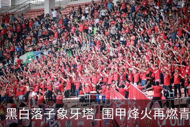 黑白落子象牙塔 围甲烽火再燃青岛恒星校园